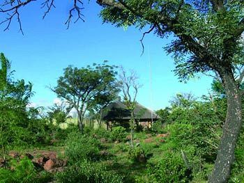 קלינאן Abloom Bush Lodge & Spa Retreat מראה חיצוני תמונה